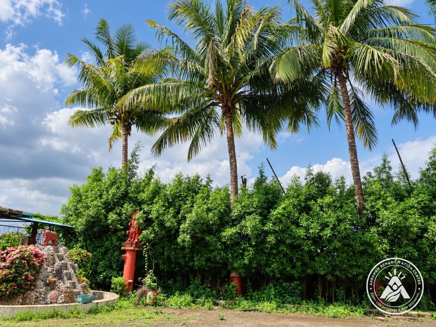 Palm trees and garden greenery at Aarambh